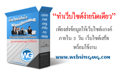 ยิ่งกว่า เว็บสำเร็จรูป!