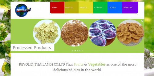 ออกแบบเว็บไซต์ REVOLIC (THAILAND) CO.,LTD