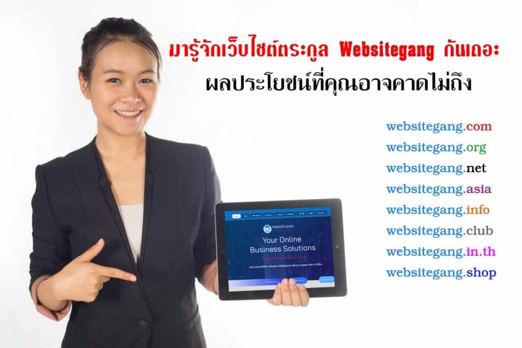 เว็บไซต์ตระกูล Websitegang