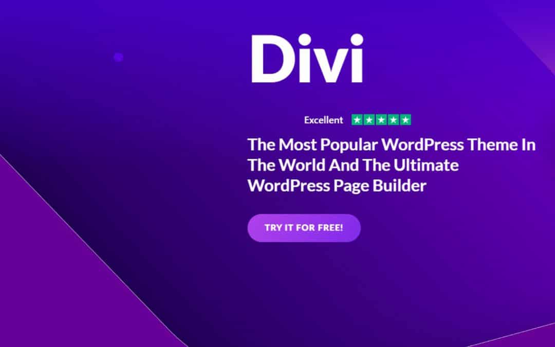 Divi theme