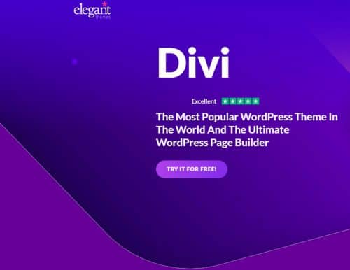 Divi theme