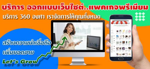 บริการ ออกแบบเว็บไซต์แพคเกจพรีเมียม