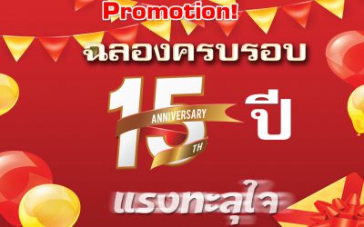 โปรโมชั่นฉลองครบรอบ 15 WebsiteGang