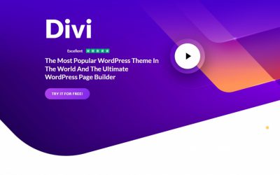 WordPress Theme ยอดนิยมแห่งปี 2022