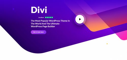 Divi theme