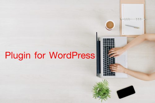 Plugin for WordPress