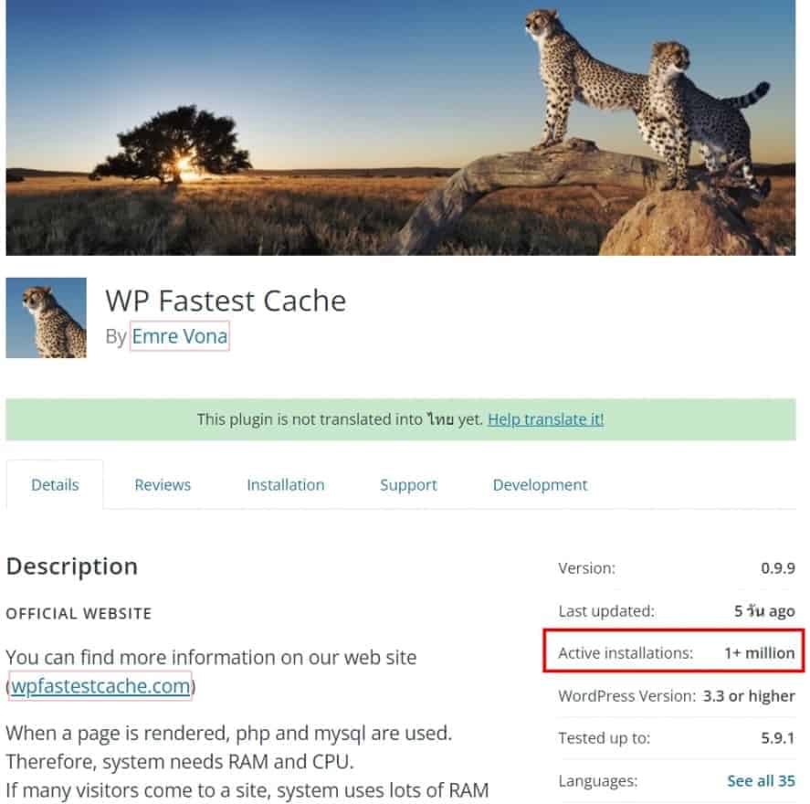WP Fastest Cache