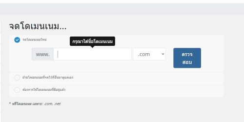 Domain name register