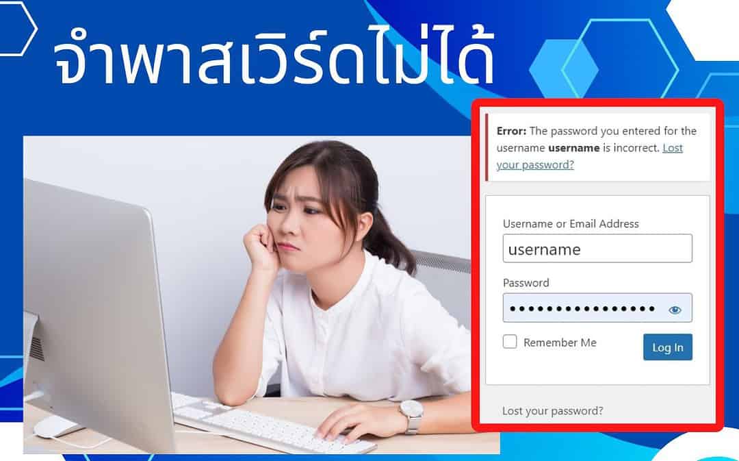 ล็อกอินเข้าเว็บไซต์ WordPress ไม่ได้