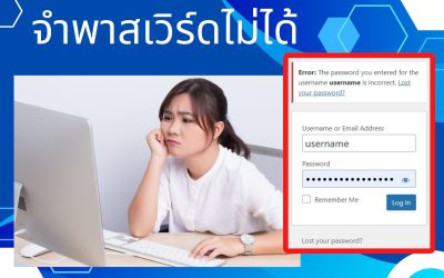ล็อกอินเข้าเว็บไซต์ WordPress ไม่ได้